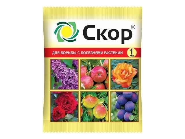 Системный фунгицид для защиты от комплекса болезней. (ампула 1 мл)  ВХ 